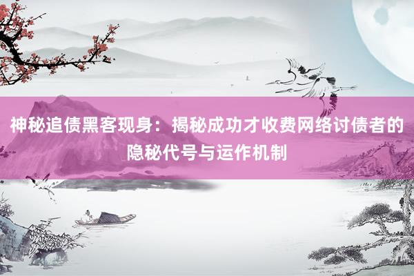 神秘追债黑客现身：揭秘成功才收费网络讨债者的隐秘代号与运作机制