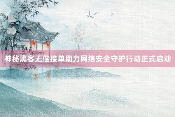 神秘黑客无偿接单助力网络安全守护行动正式启动