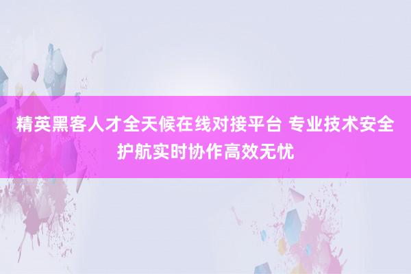 精英黑客人才全天候在线对接平台 专业技术安全护航实时协作高效无忧