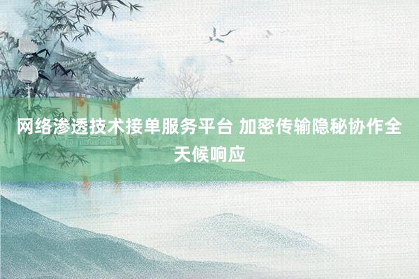 网络渗透技术接单服务平台 加密传输隐秘协作全天候响应