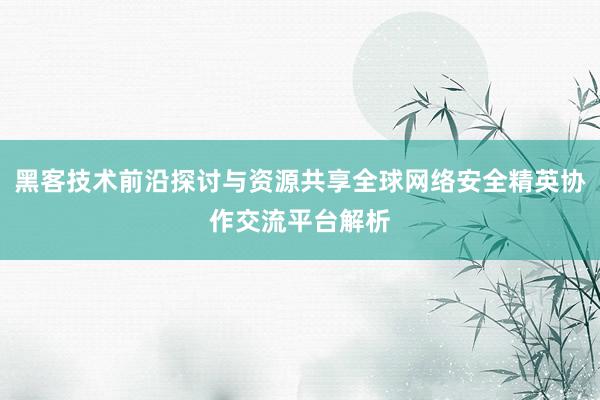 黑客技术前沿探讨与资源共享全球网络安全精英协作交流平台解析